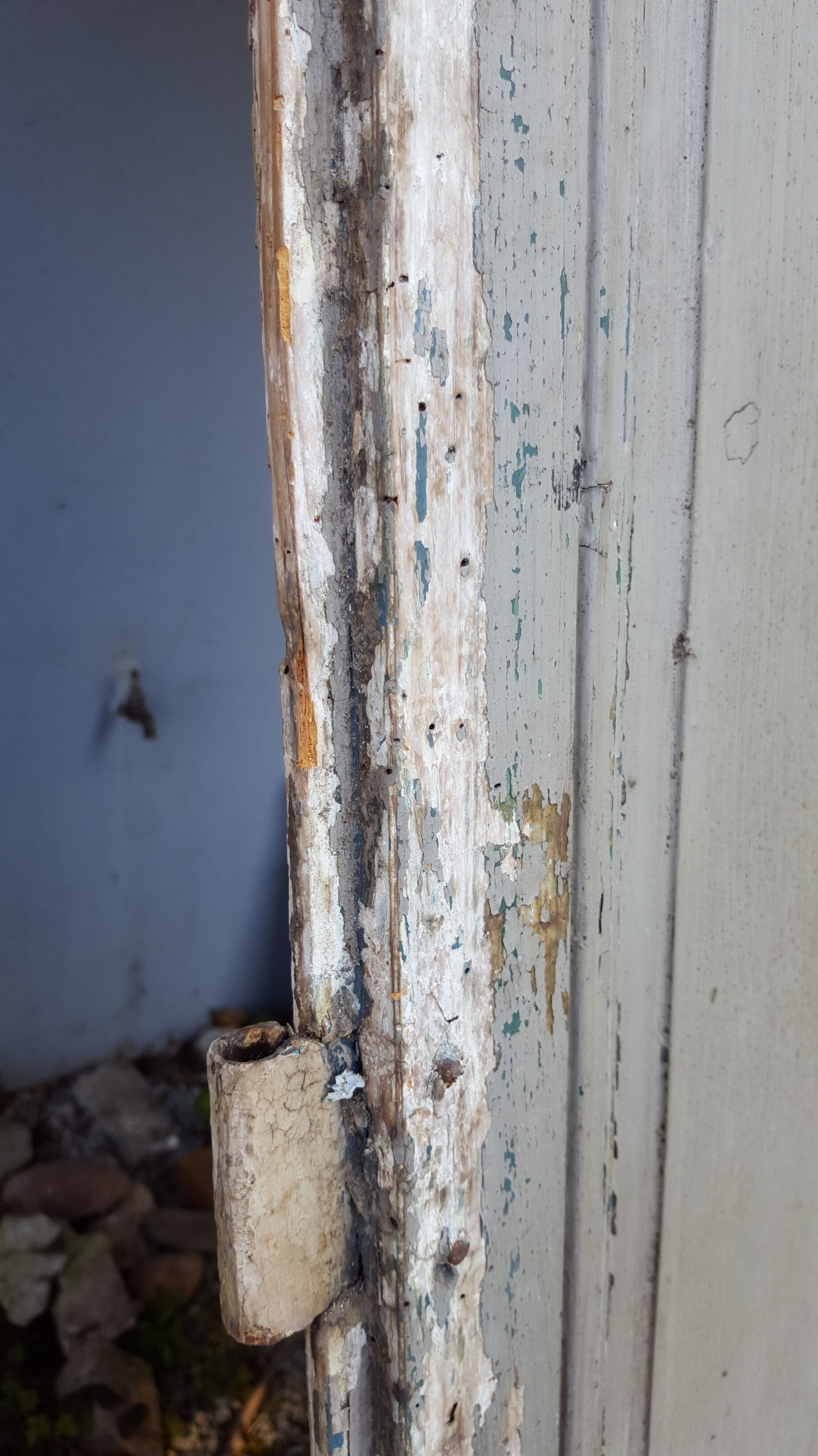 Pair of doors XVIII