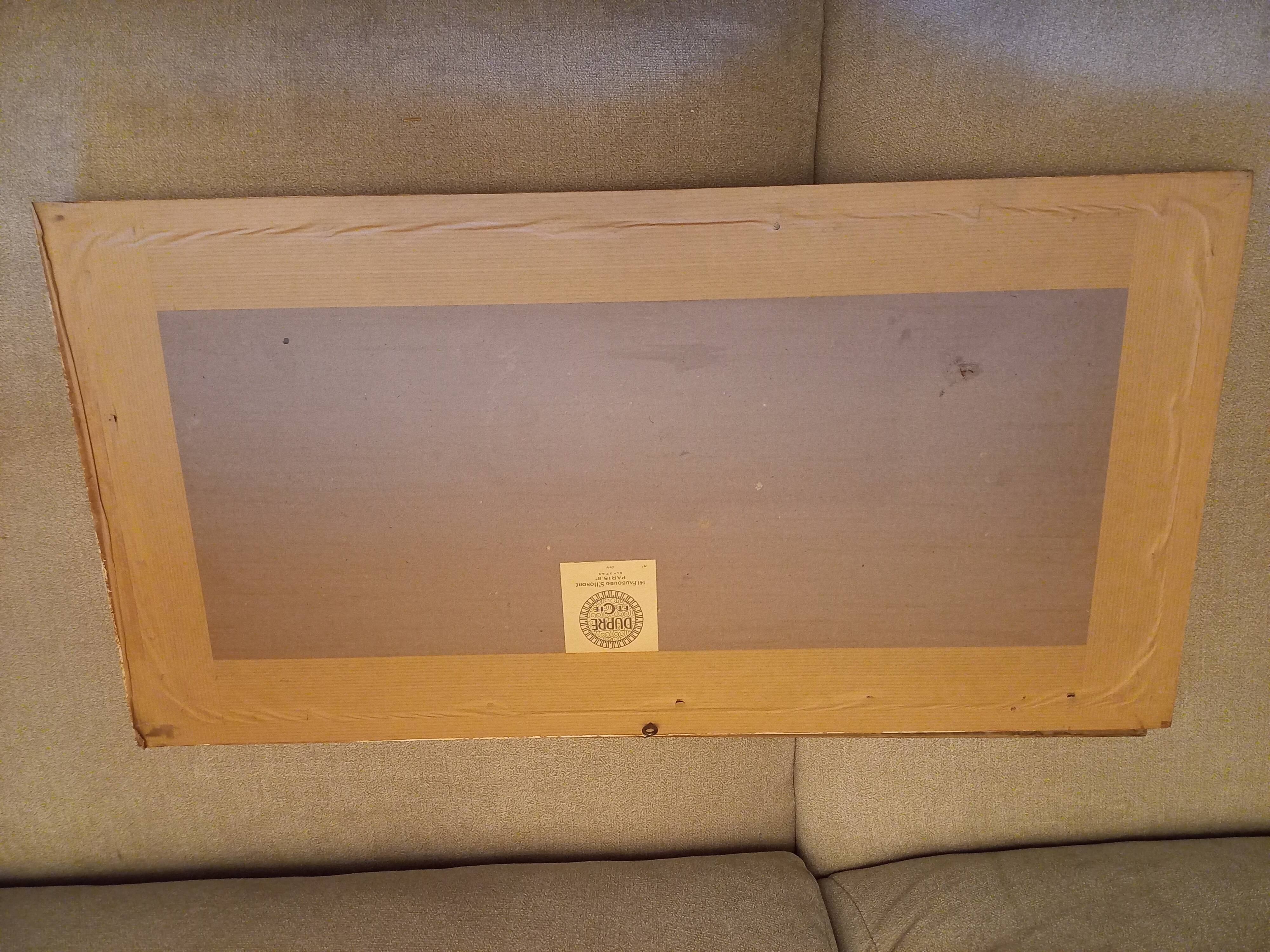 Lot 2 watercolors ancient birds