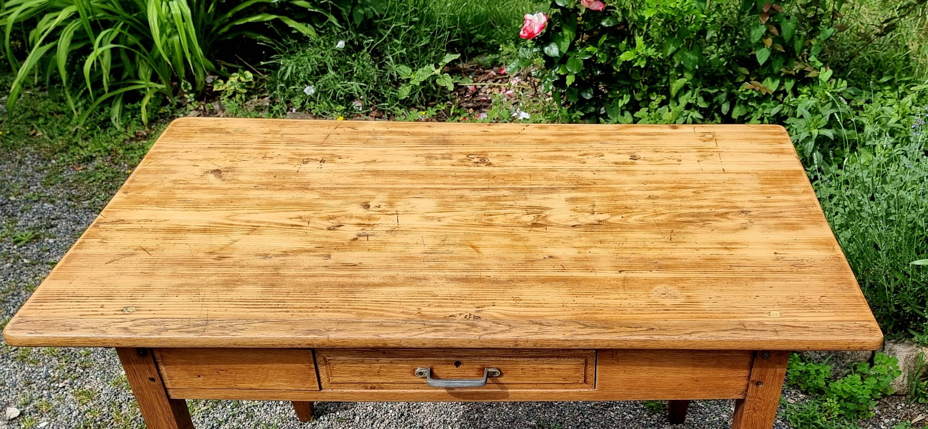 Beech and fir wood table