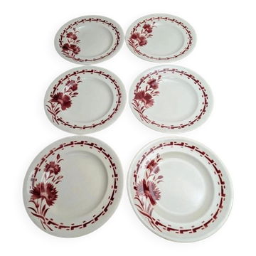 Set of 6 flat plates in ironstone Longwy – Viennese model – Red flowers