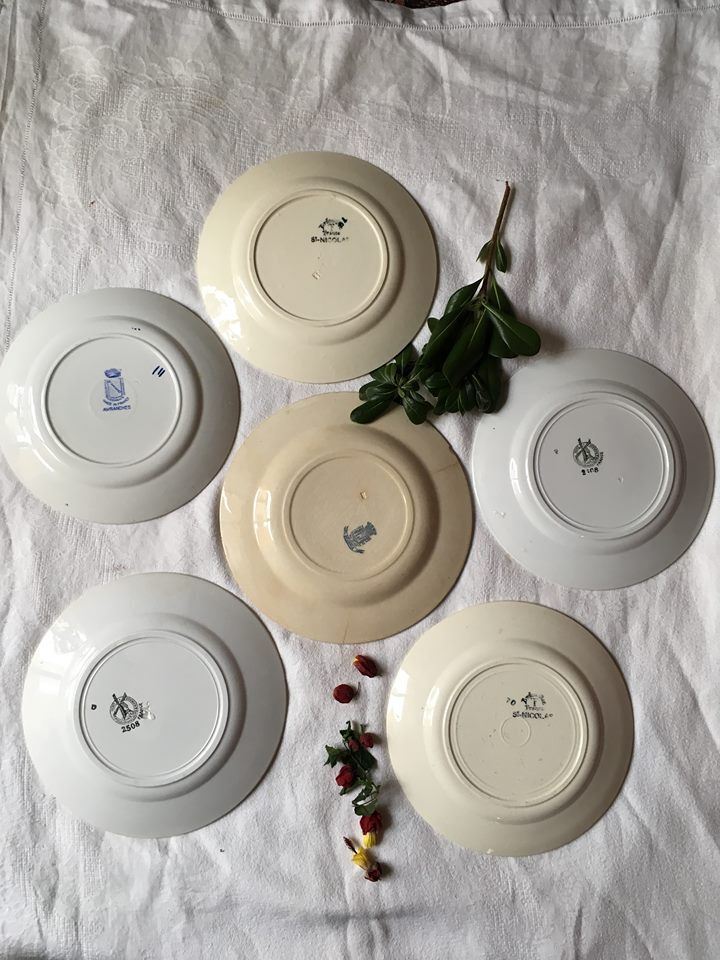 Six dinner plates don't match in red and blue