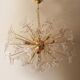 Transparent butterfly murano glass sputnik oval chandelier