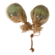 Two old glass floats