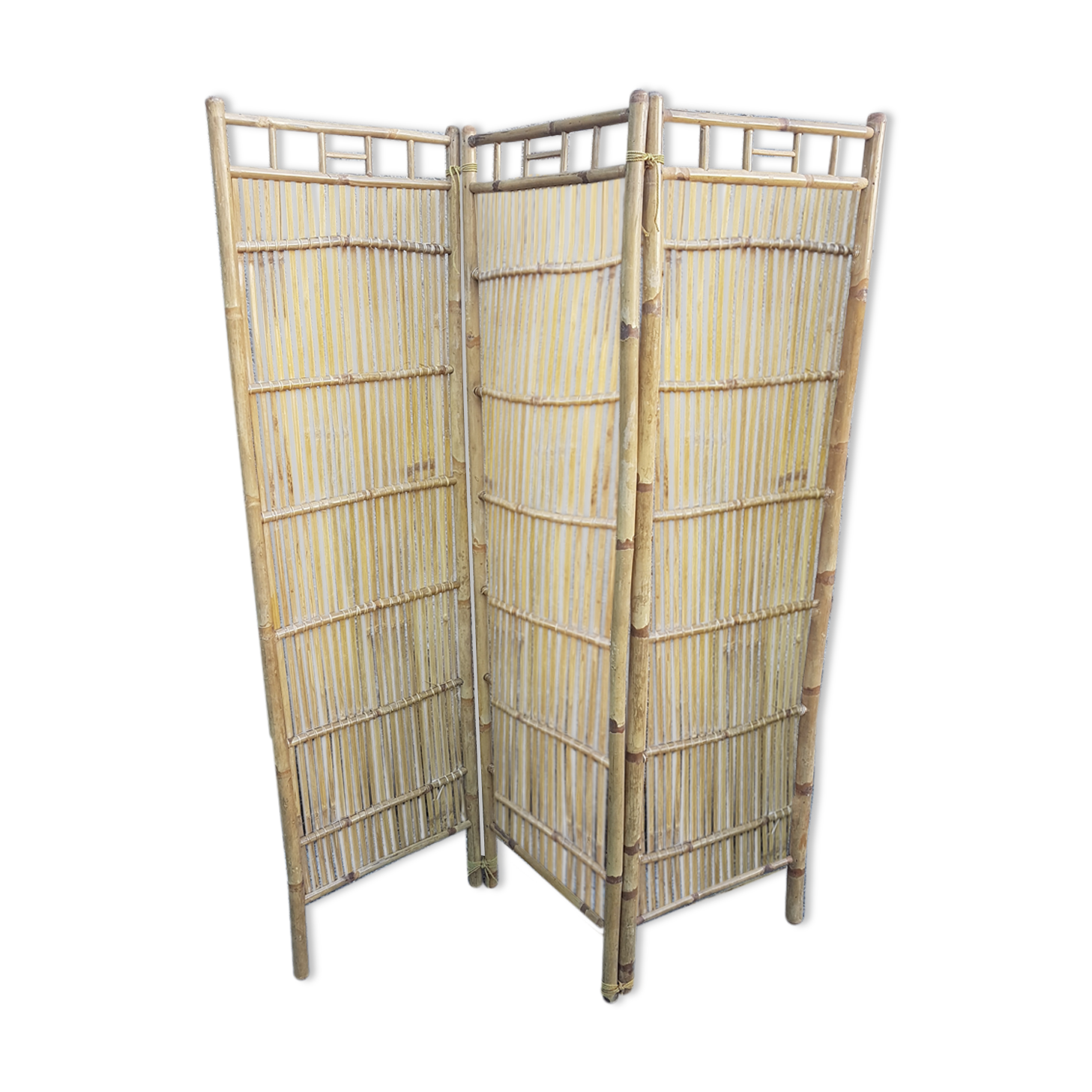 Bamboo screen 1970