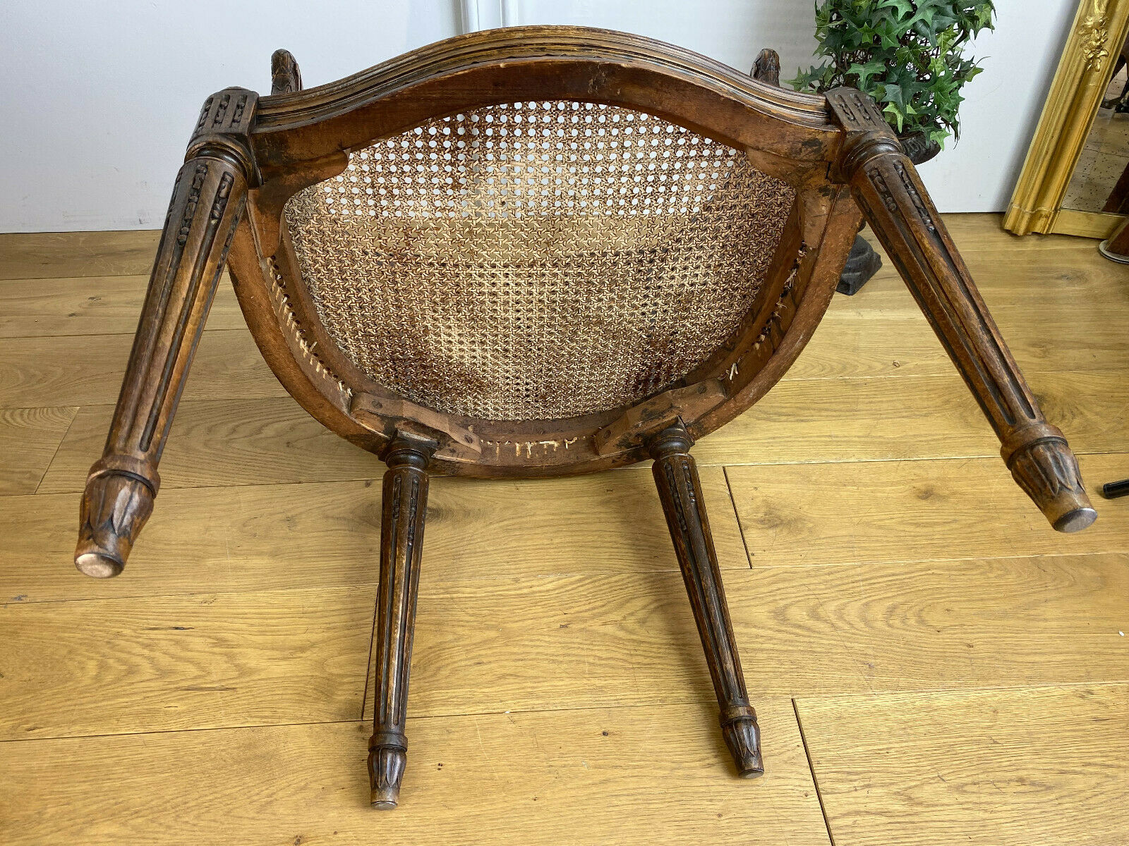 Old armchair with double cannage in walnut carved style Louis XVI of the nineteenth century