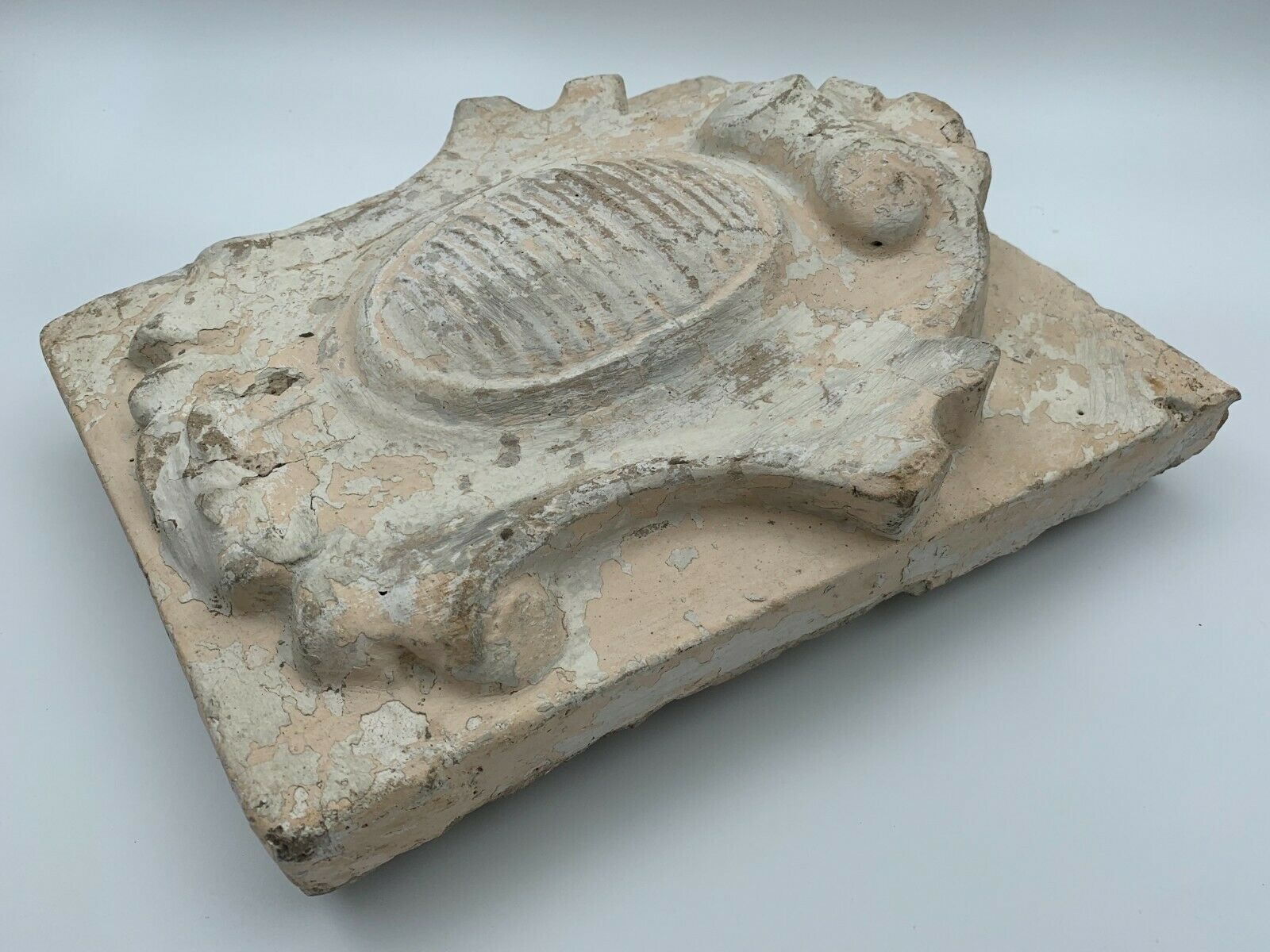 STONE SHELL 19TH PATINA OF ORIGIN SCULPTURE