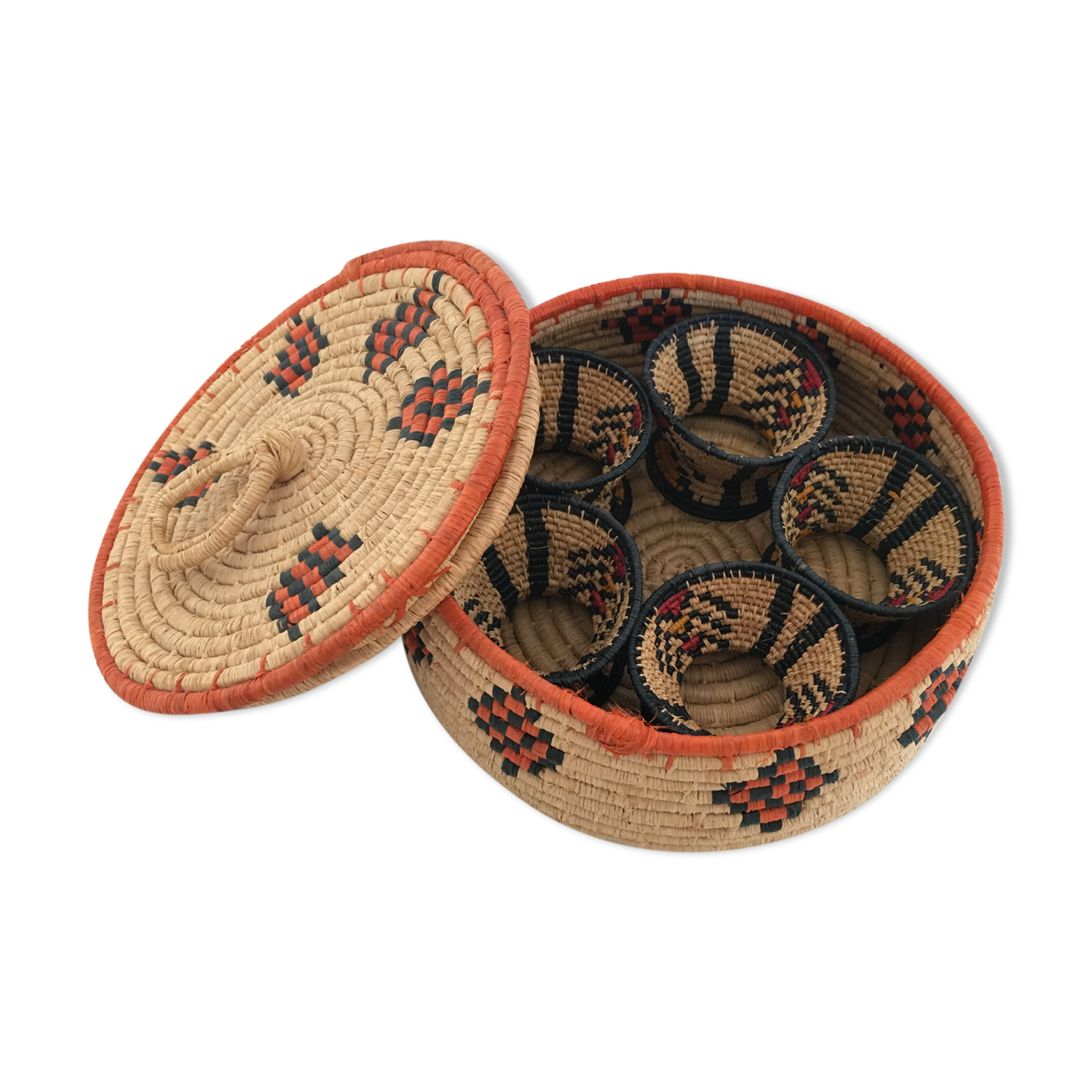 African lidbox and raffia cockroaches