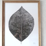 "Leave the automn" encre de chine