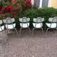 Formica chairs