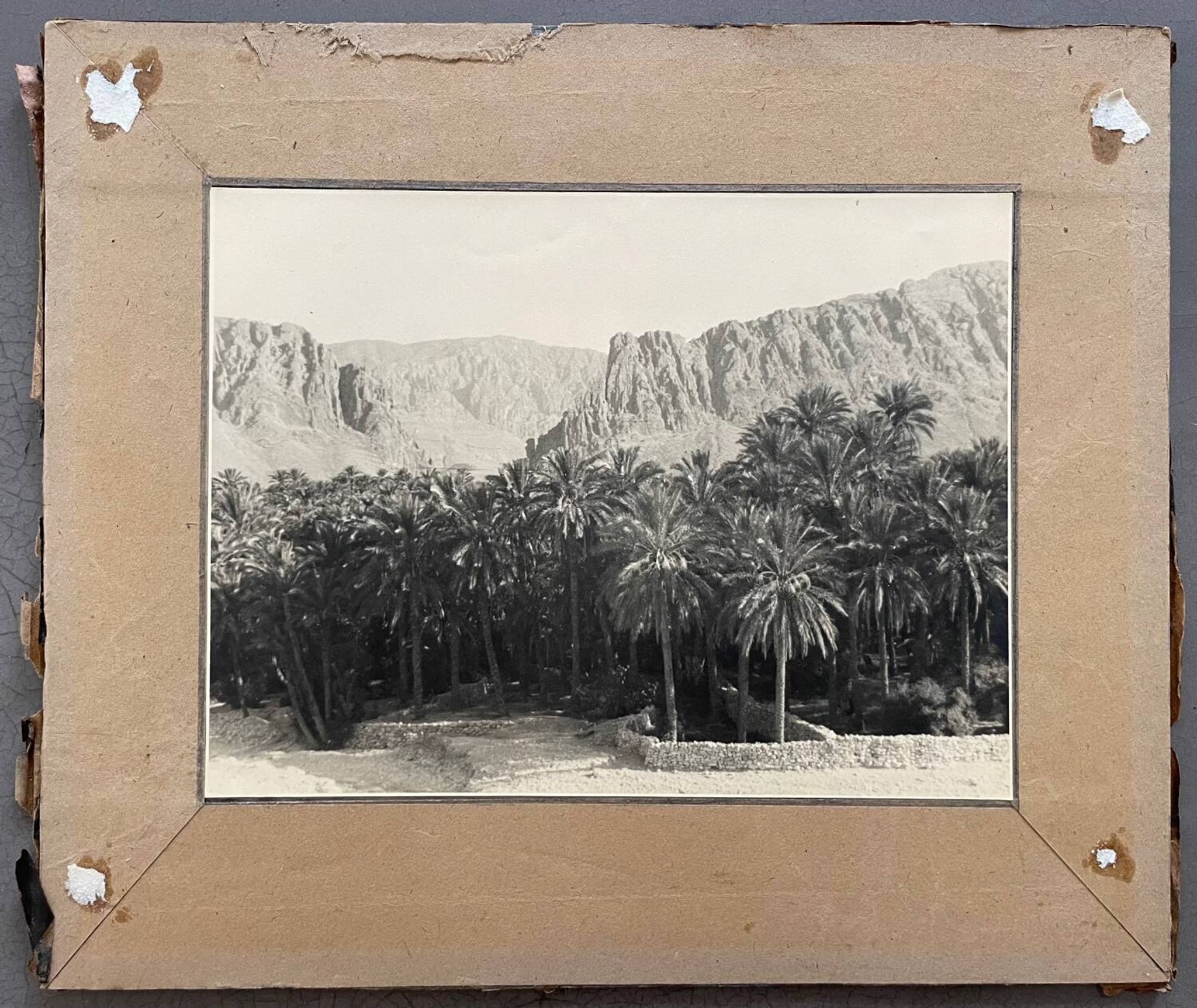 Photographie ancienne collection Algérie Oasis El Kantara Circa 1950