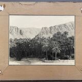 Old photograph collection Algeria Oasis El Kantara Circa 1950