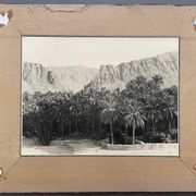 Photographie ancienne collection Algérie Oasis El Kantara Circa 1950