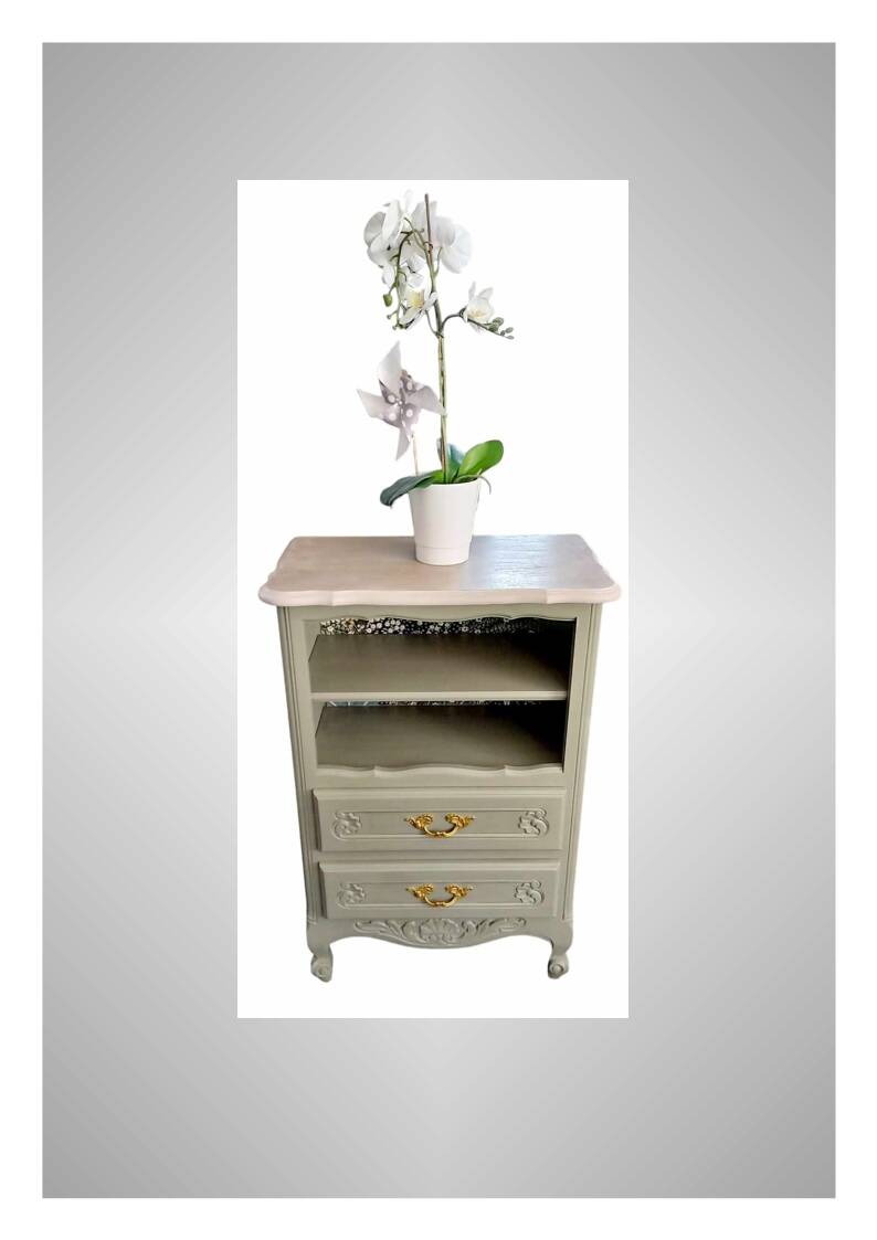 Bibus vintage bookcase