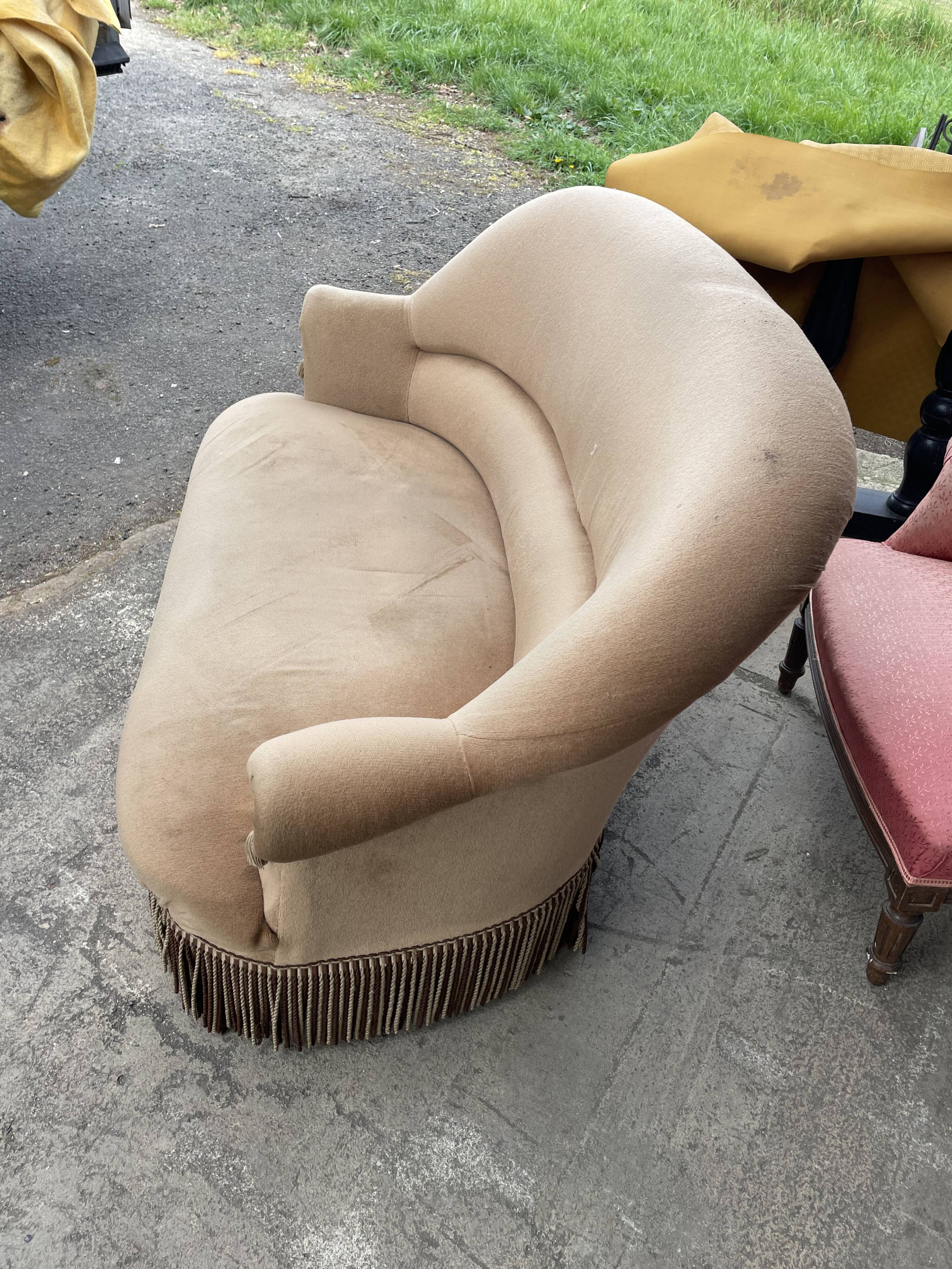 Toad bench