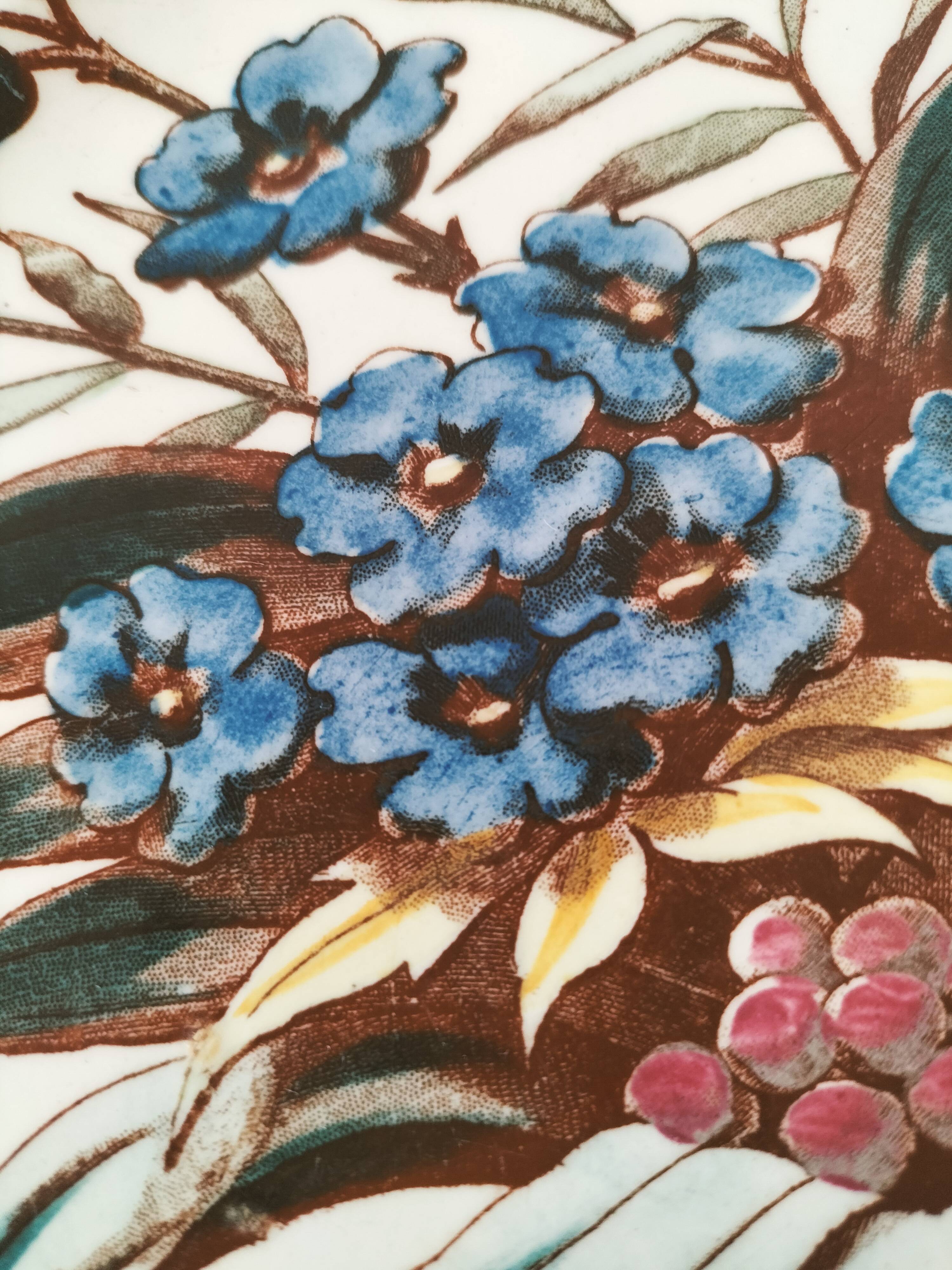 Sanejouand & Graves Clairefontaine plate, polychrome Tavia decoration