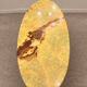 Large oval coffee table in yellow marble and gold metal, classic style.