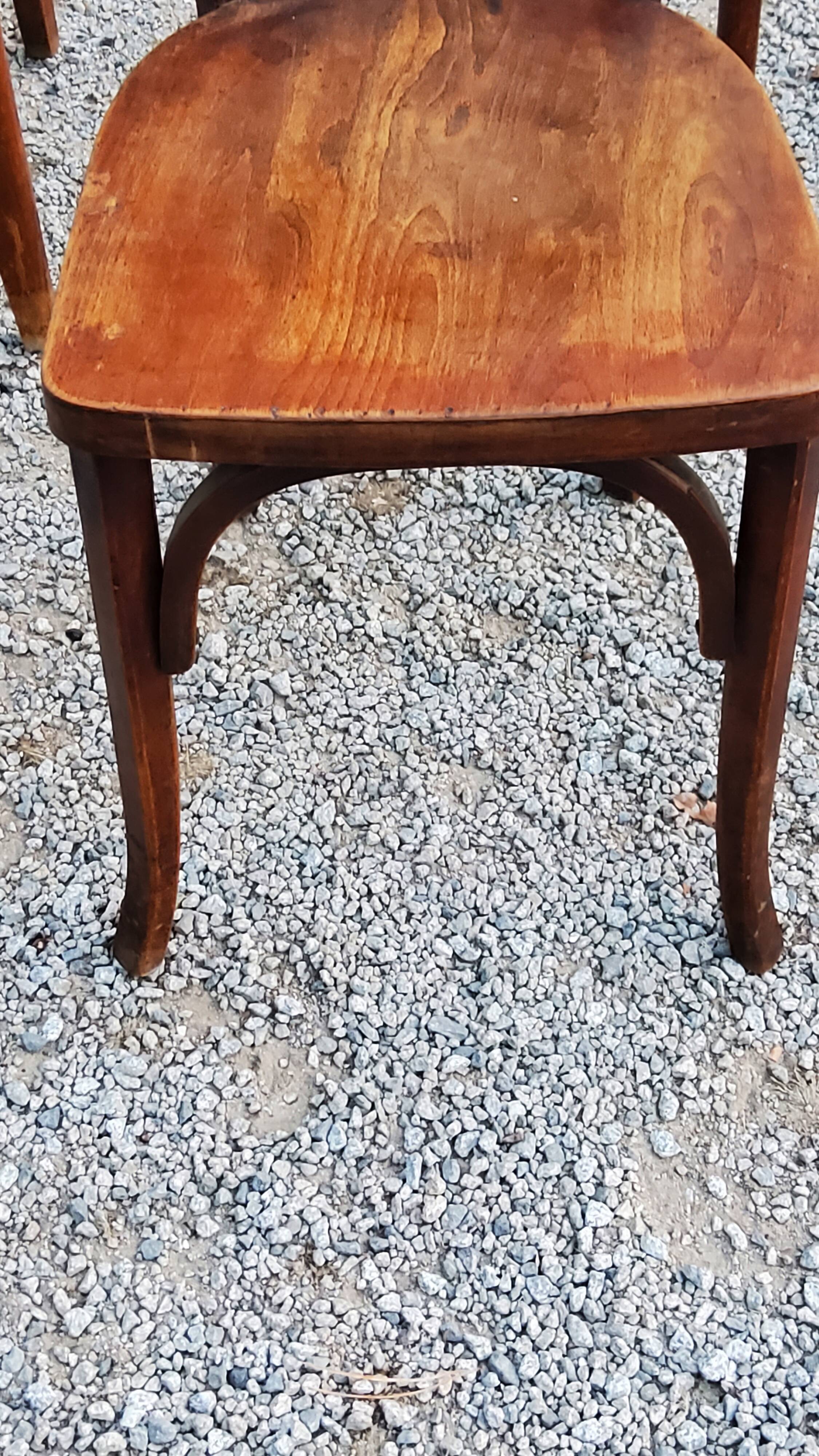 Set of 5 Stella Thonet bistro chairs from the 1950s