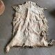 Goat skin