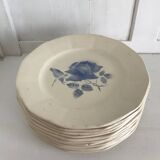 Set of 11 Digoin flat plates, blue rose patterns