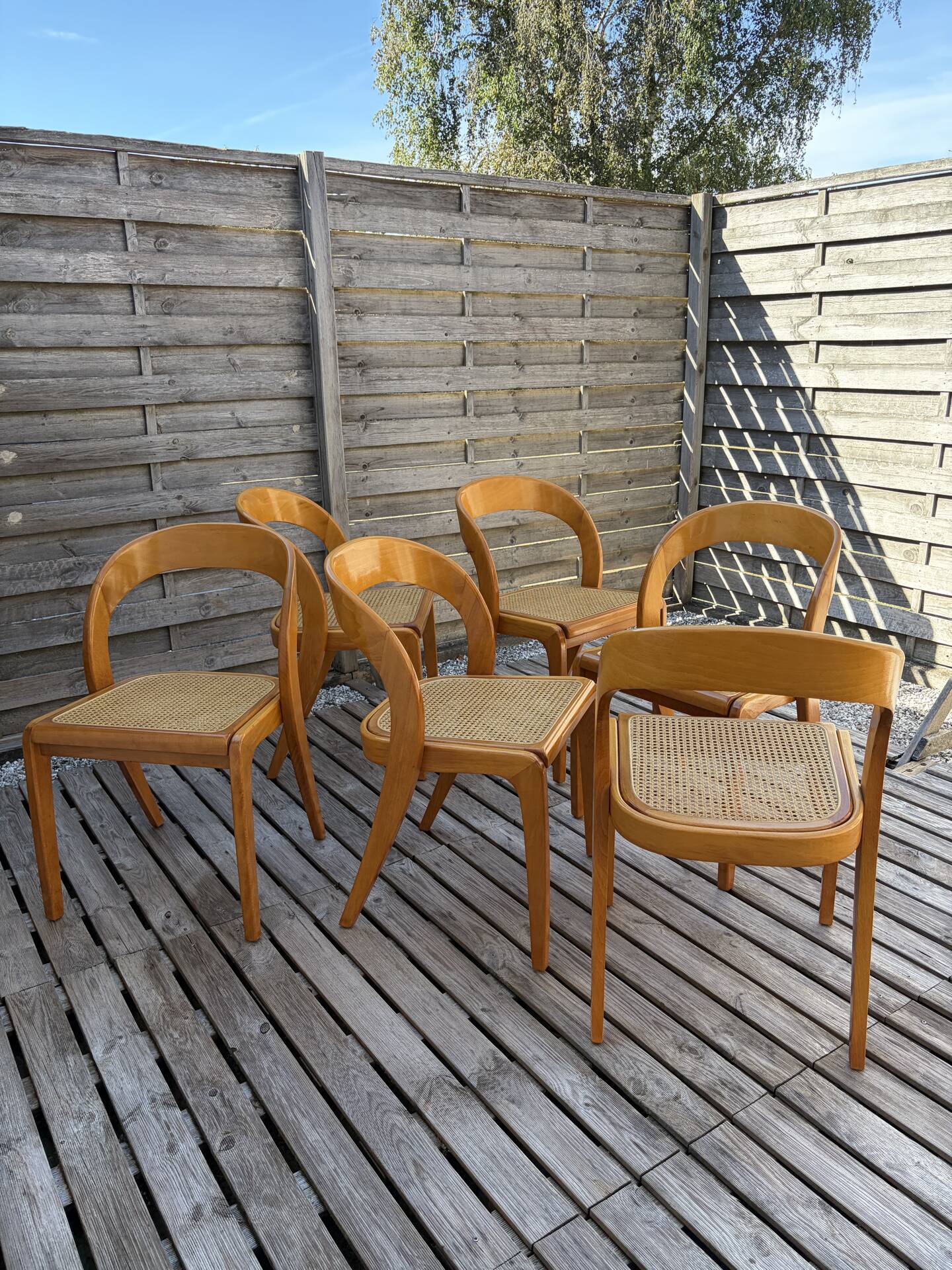 Set of 6 caned chairs by Baumann, gondola model.
