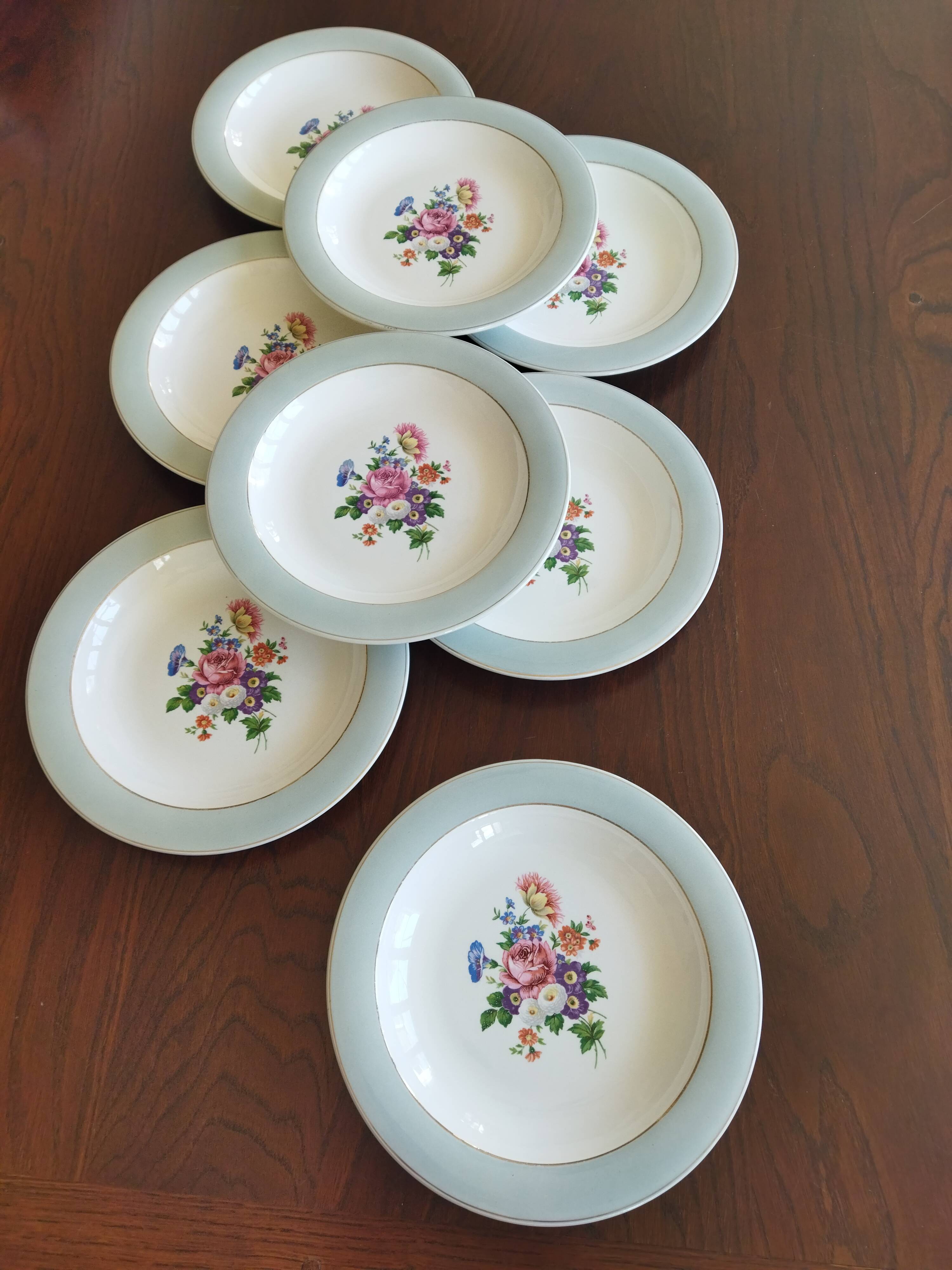 8 semi-deep plates Salins Opaceline 702