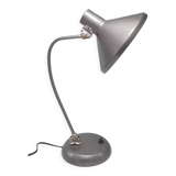 Articulated lamp