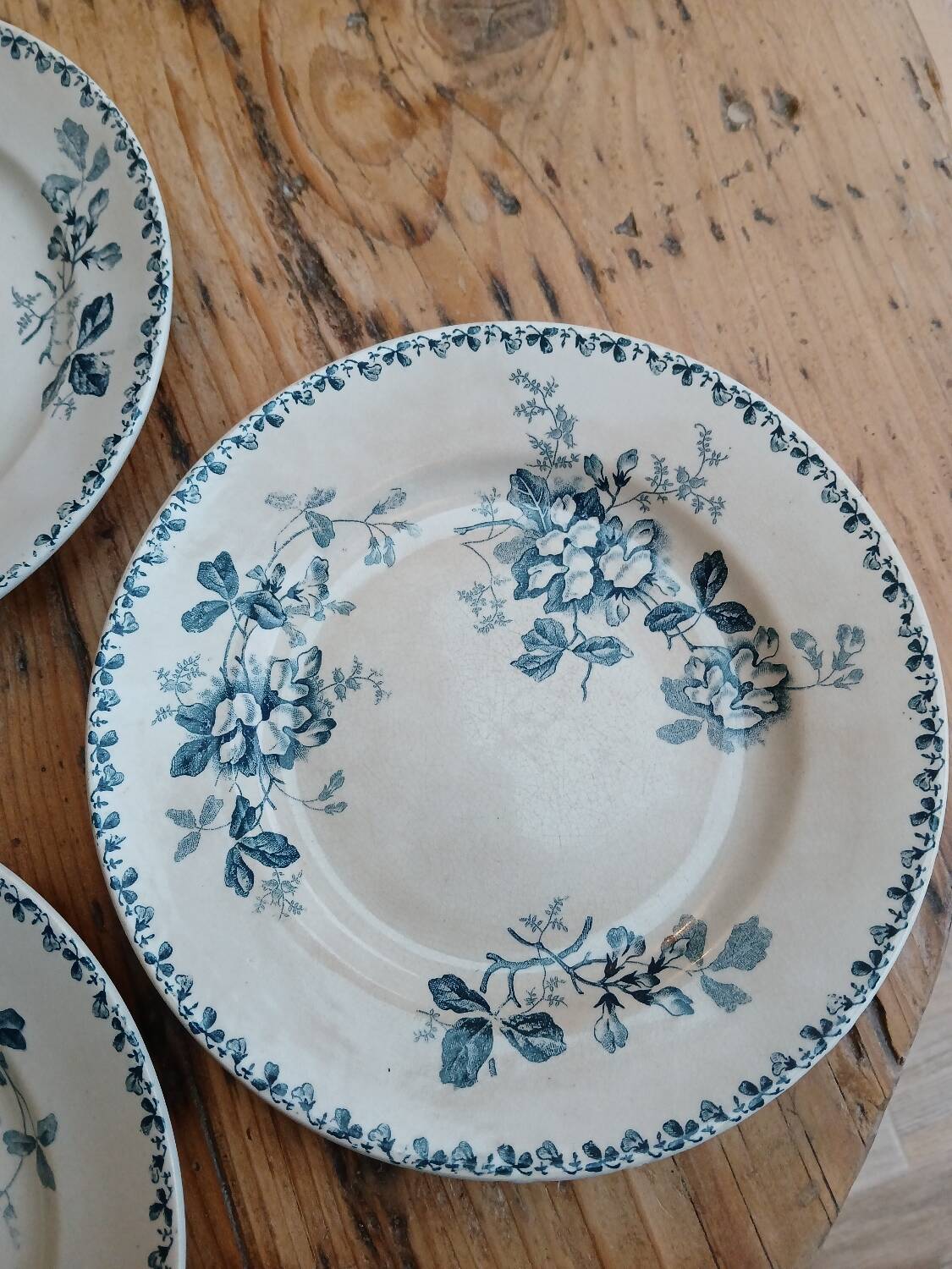 Set of 6 Terre de Fer plates, Acacia model