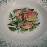 Dish