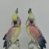 Couple of Cockatoos by Karl Ens