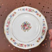 set of 6 Vintage Dessert Plates S.I.P France with Floral Decoration