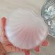 Shell-shaped butter dish in stainless steel and white glass bowl.