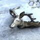 Stag Head Ice Dish Silver Plated Deer Barware