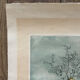 Original Engraving Bernard Louedin 1978 "Thistles of the Marsh" Signed Numbered