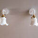 2 wall sconces in tulip glass painted white
