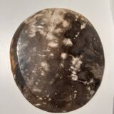 Medium petrified wood dish or pocket emptier, predominantly gray 1137