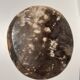 Medium petrified wood dish or pocket emptier, predominantly gray 1137