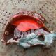 Empty pocket in glazed ceramic slip in the shape of vintage fish