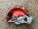 Empty pocket in glazed ceramic slip in the shape of vintage fish