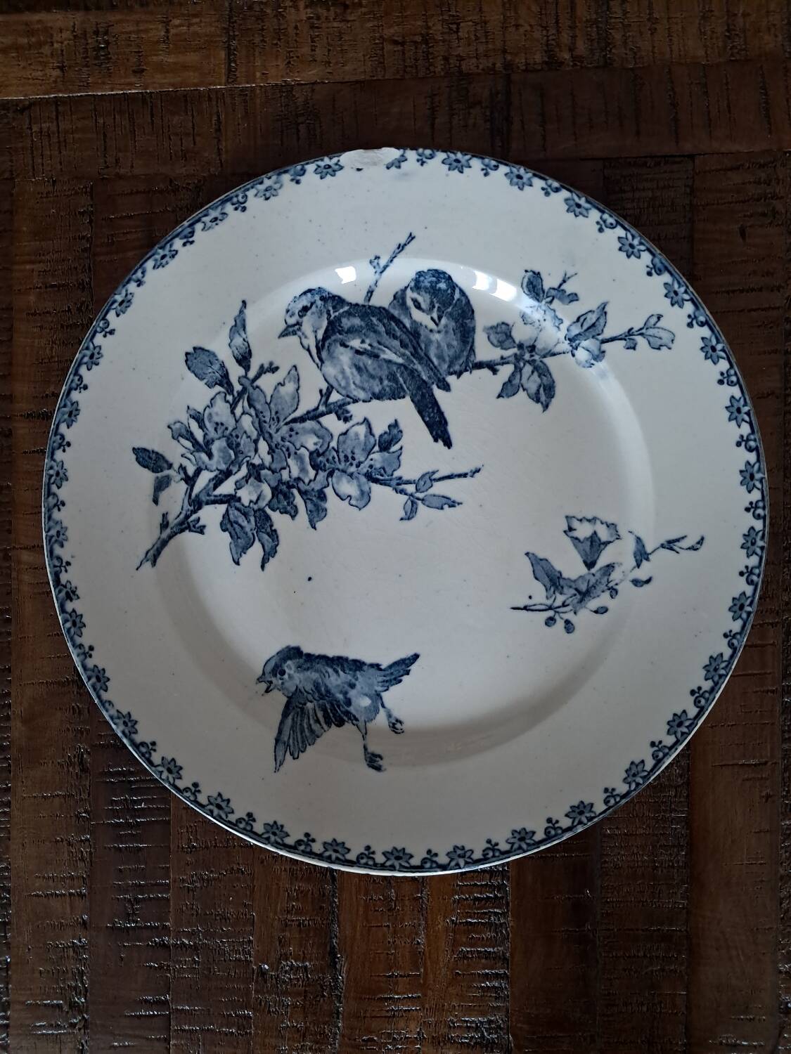 Sarreguemines Flat Plates Favorite Blue Model