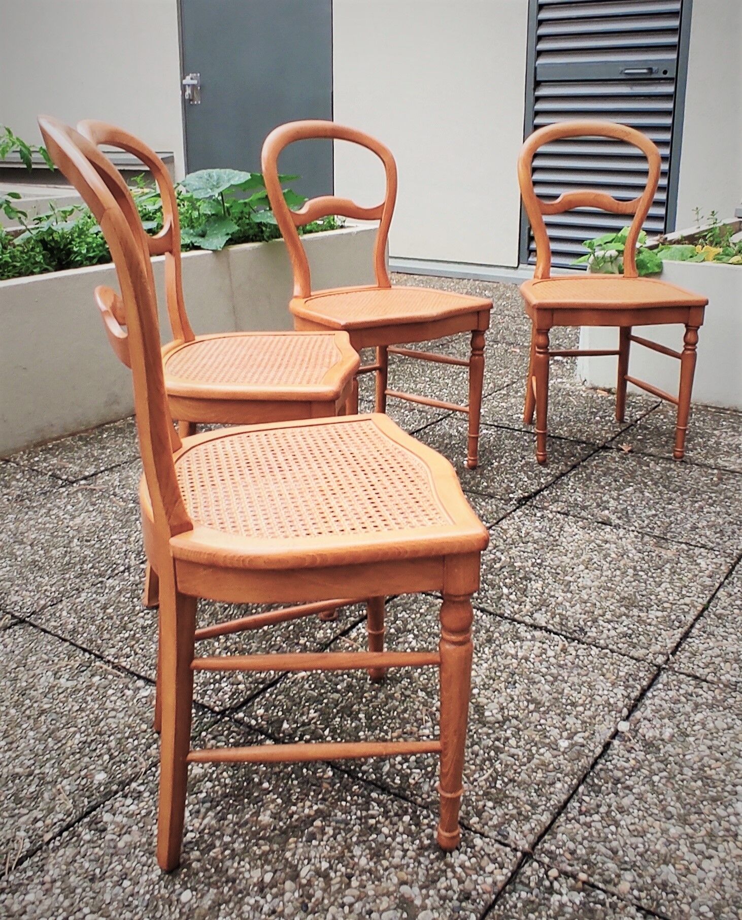 Set of 4 dining room chairs in solid birch wood and cannage; louis philippe style, very b
