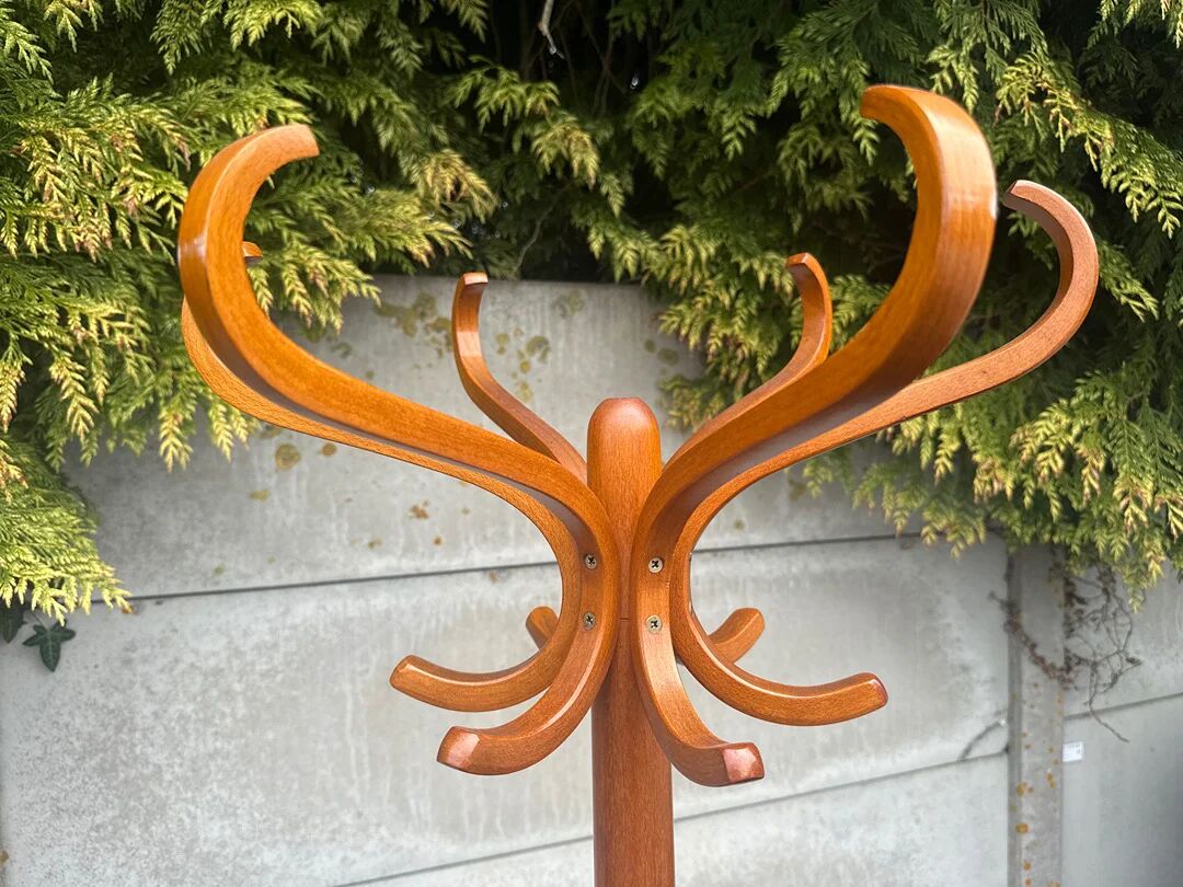 Coat rack – Vintage – Storage – Curved brown wooden parrot