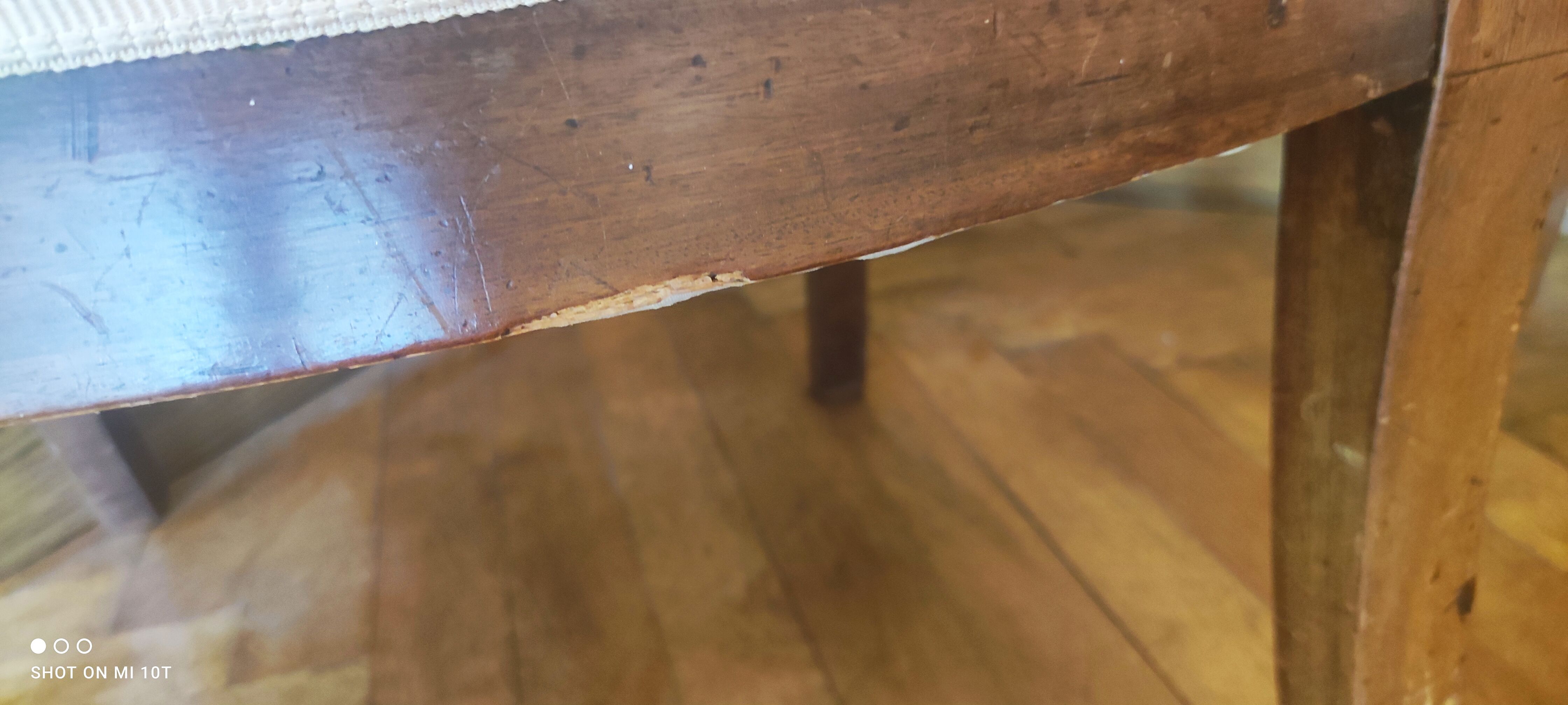 Pair of mahogany armchairs/palm décor/Restoration period