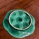 Oyster service Sarreguemines
