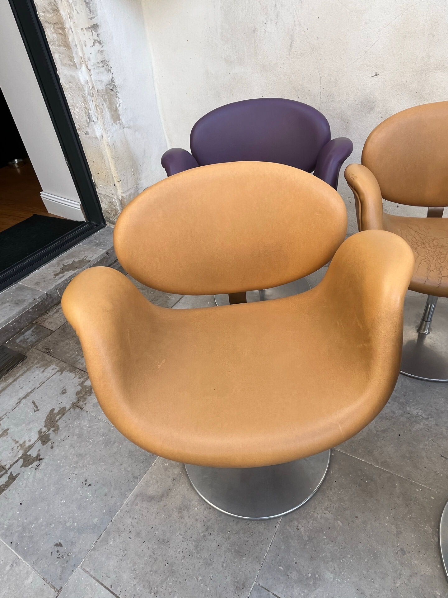 7 Tulip Chairs Paulin
