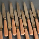 Suite of 12 dessert knives in gold metal blades