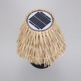 Solar desk lamp