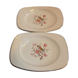 Lot 2 dishes raviers saline France