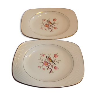 Lot 2 dishes raviers saline France
