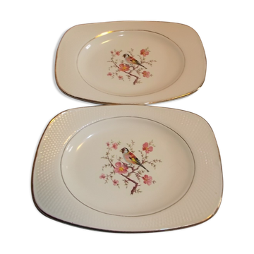 Lot 2 plats raviers salins France