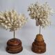 Paire d'anciens coraux blancs sur socles en bois industriel, 21 cm